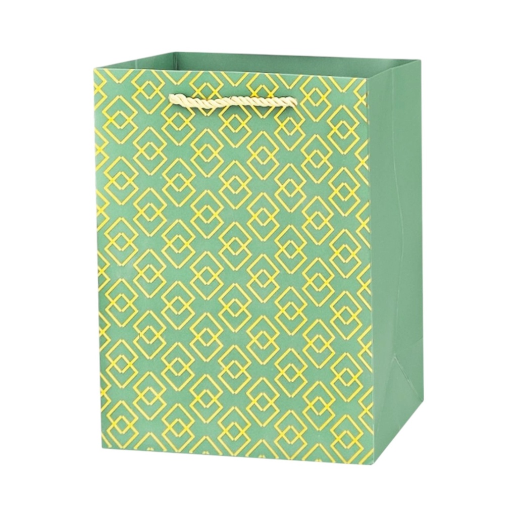 Hot Stamped Large Gift Bag Lime