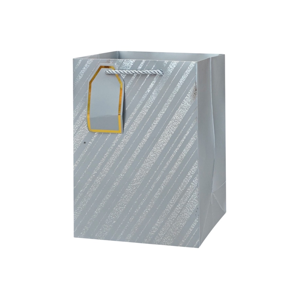 Glitter Glitz Medium Gift Bag Silver