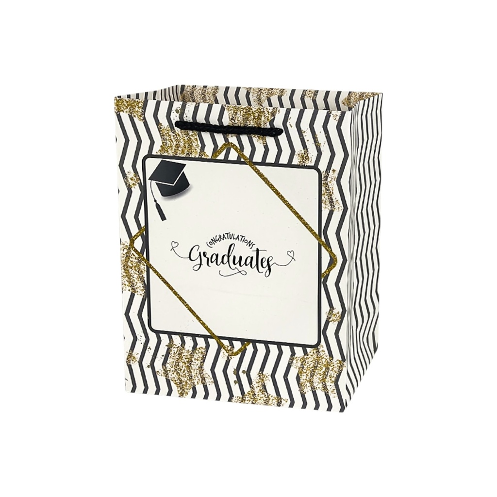  Graduation Medium Gift Bag Dazzel 
