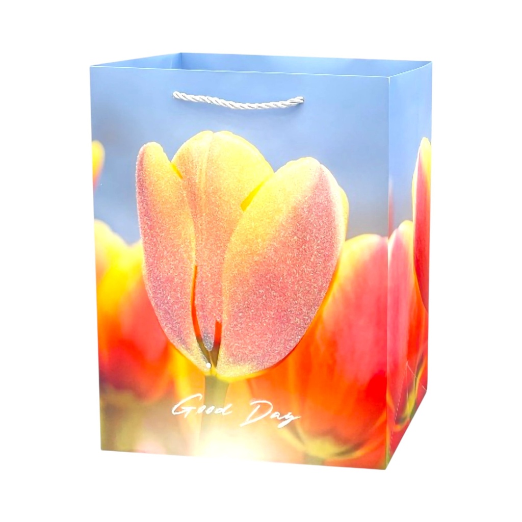 Spring Tulip Large Gift Bag Orange