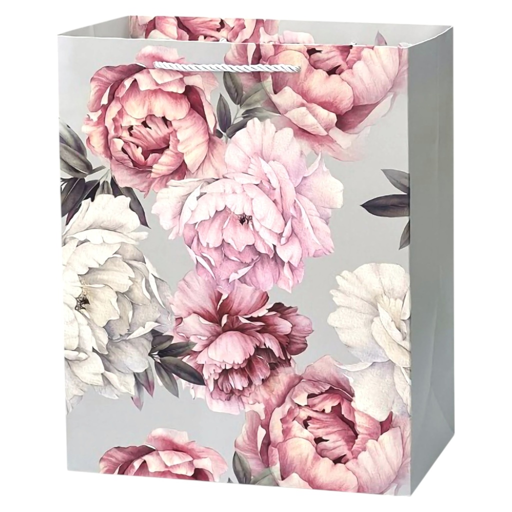 Everyday Jumbo Gift Bag - Silver Sides and Back