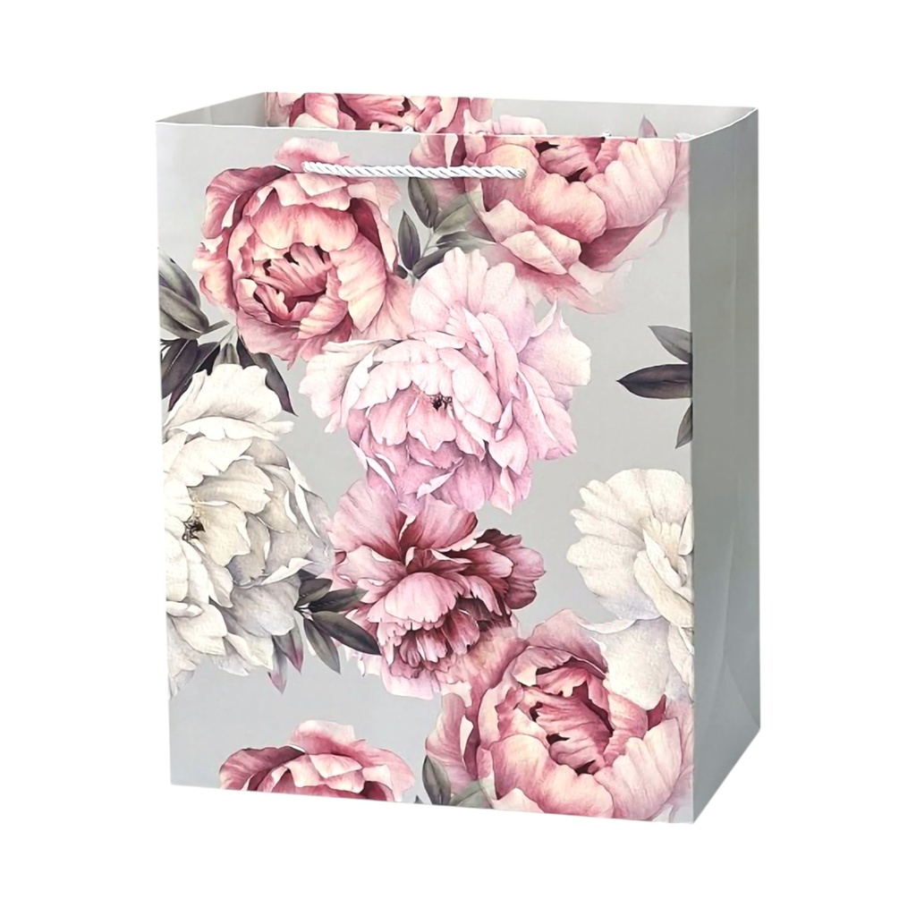 Everyday Large Gift Bag Silver Backround