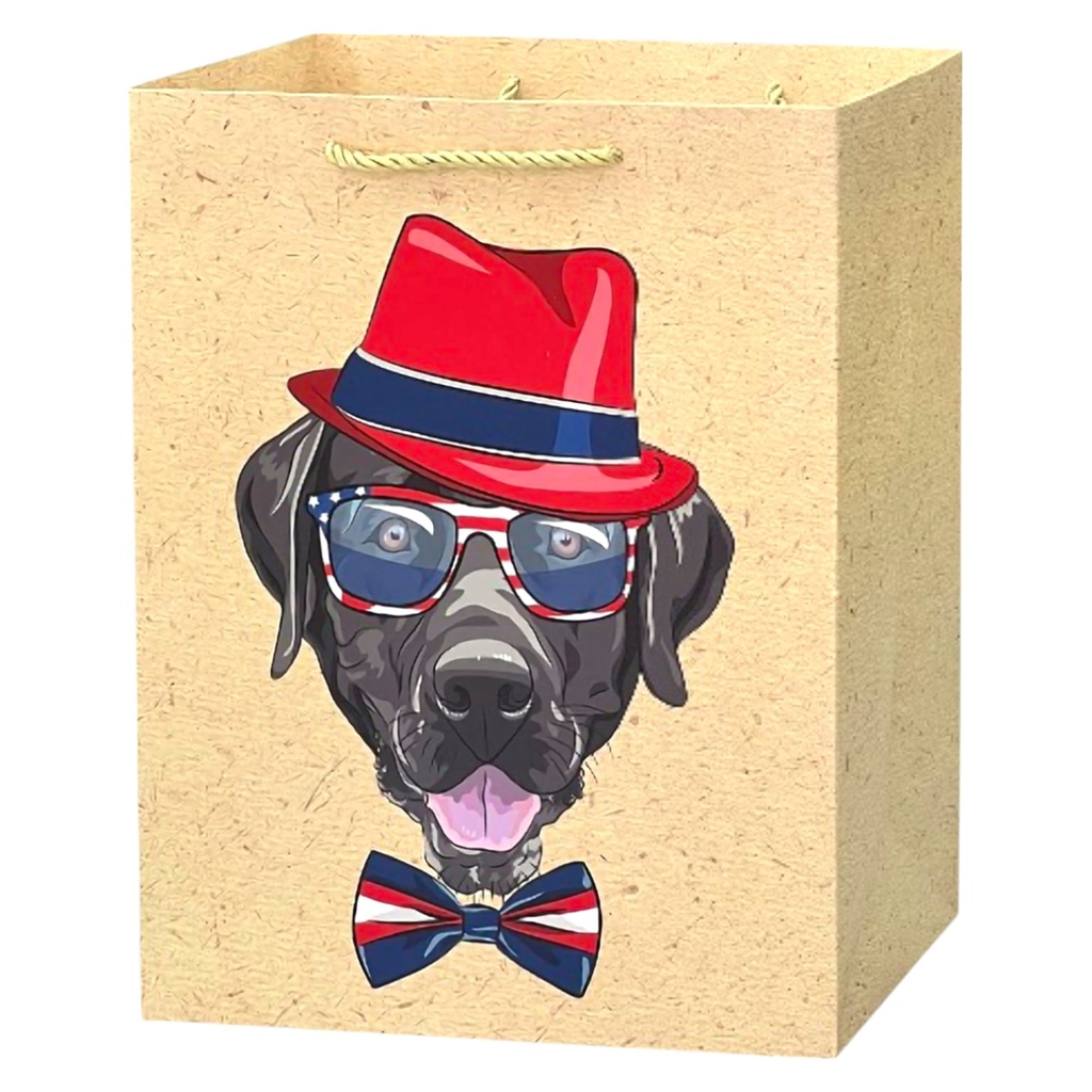 K-9s Jumbo Gift Bag Fancy