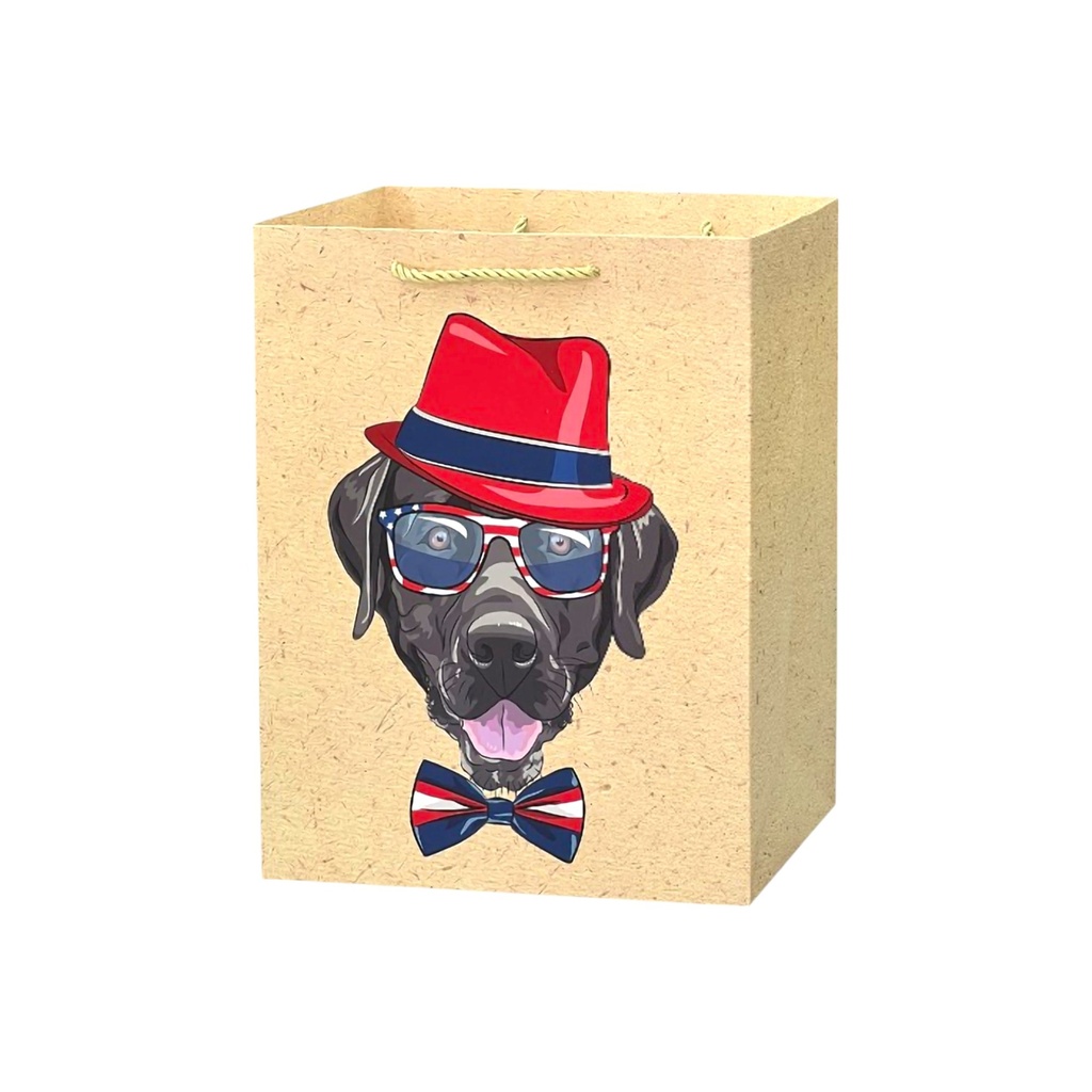 K-9s Medium Gift Bag Fancy