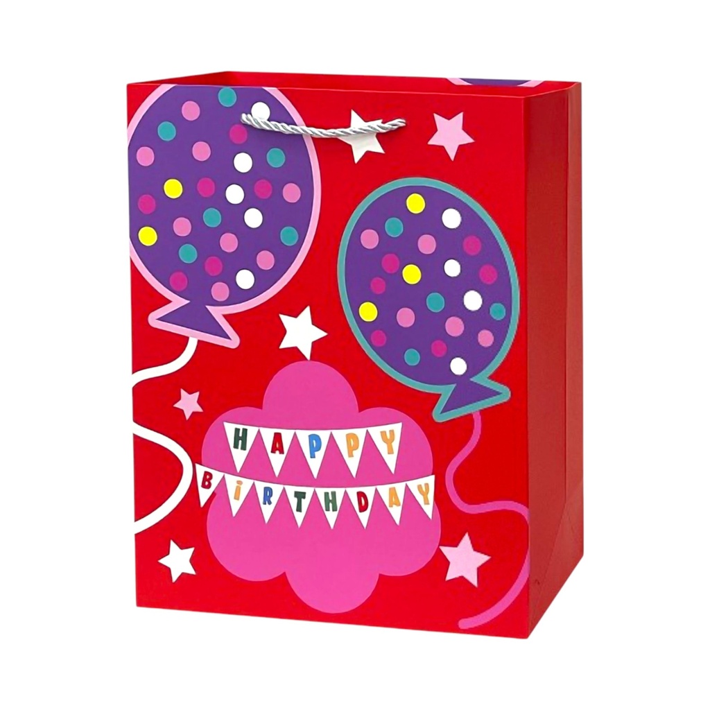Birthday Fun Large Gift Bag Red