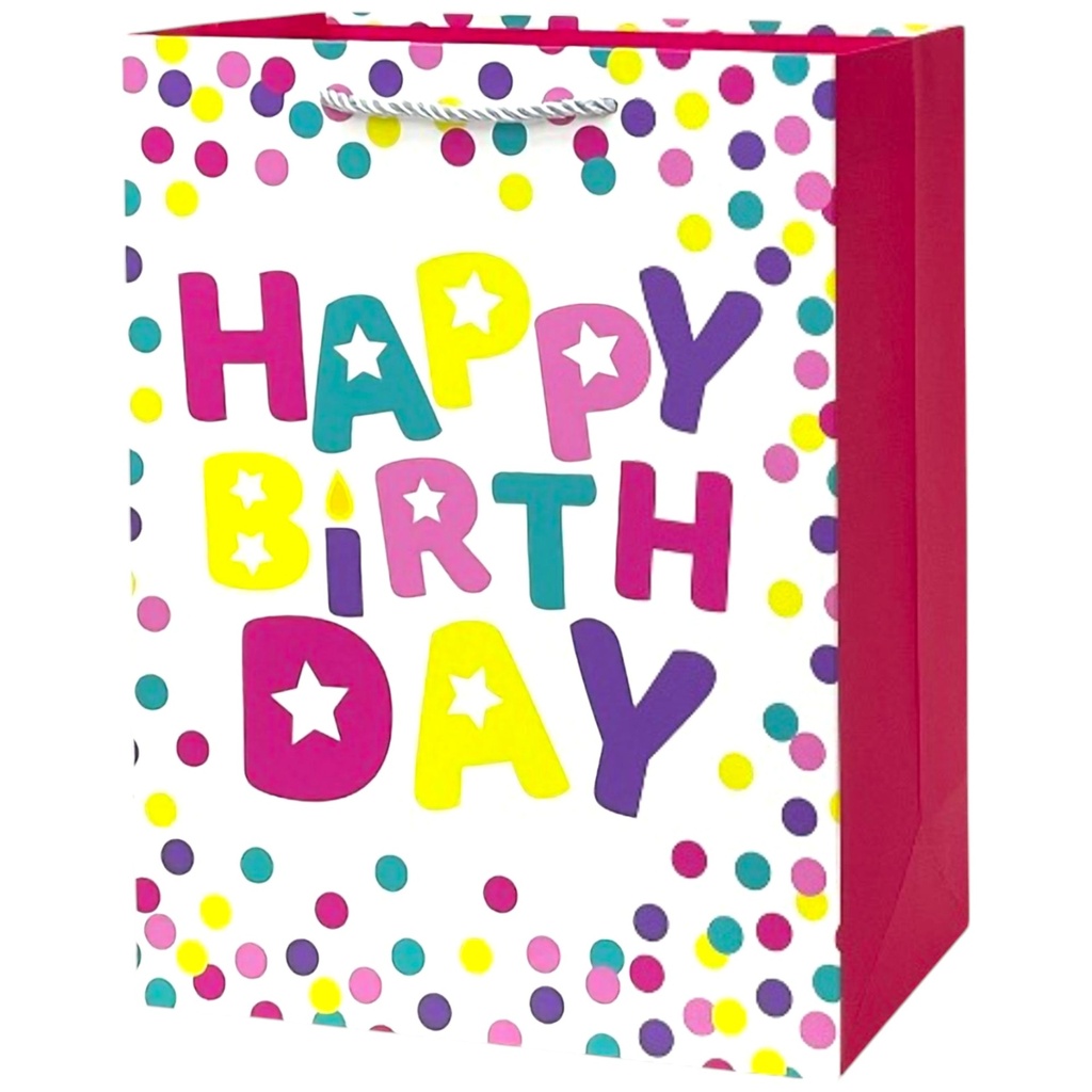 Birthday Fun Jumbo Gift Bag Rainbow Polka Dots