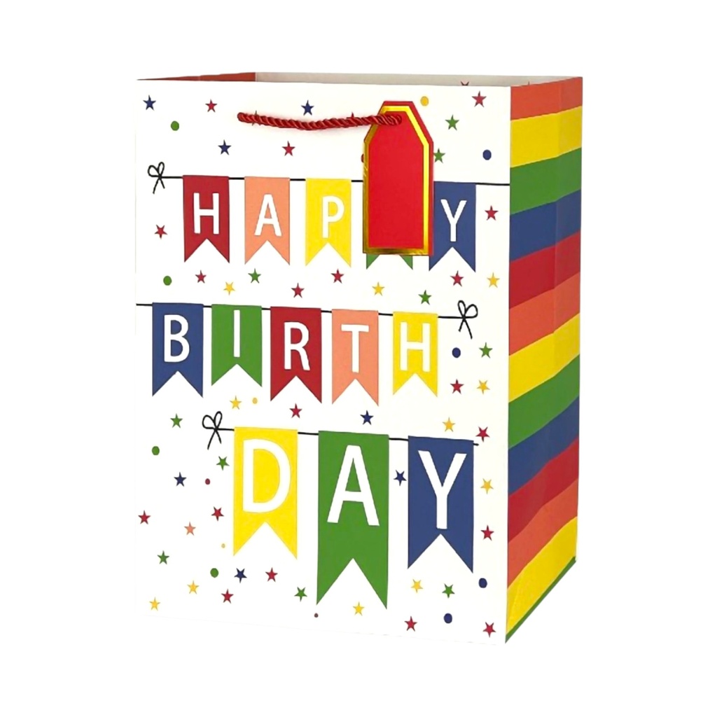 Rainbow Party Large Gift Bag Happy Birthday
