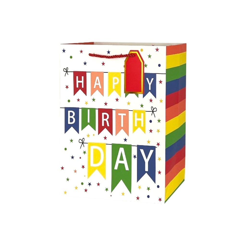 Rainbow Party Medium Gift Bag Happy Birthday
