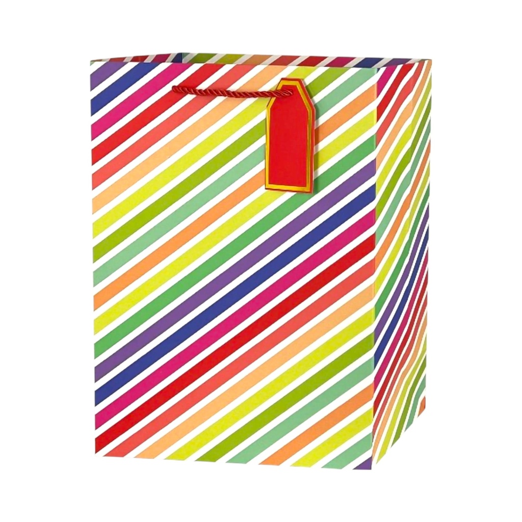 Rainbow Party Large Gift Bag Stripe