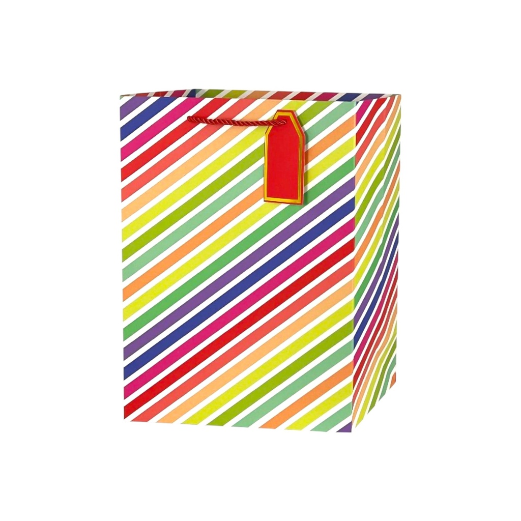 RNBW Paty Medium Gift Bag Stripe