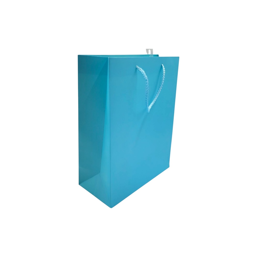 Craft Medium Gift Bag Baby Blue