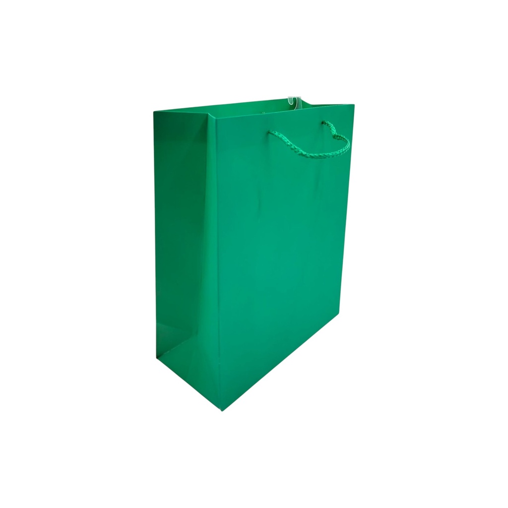 Craft Medium Gift Bag Green