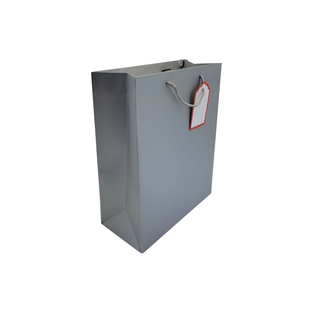 Craft Medium Gift Bag Silver