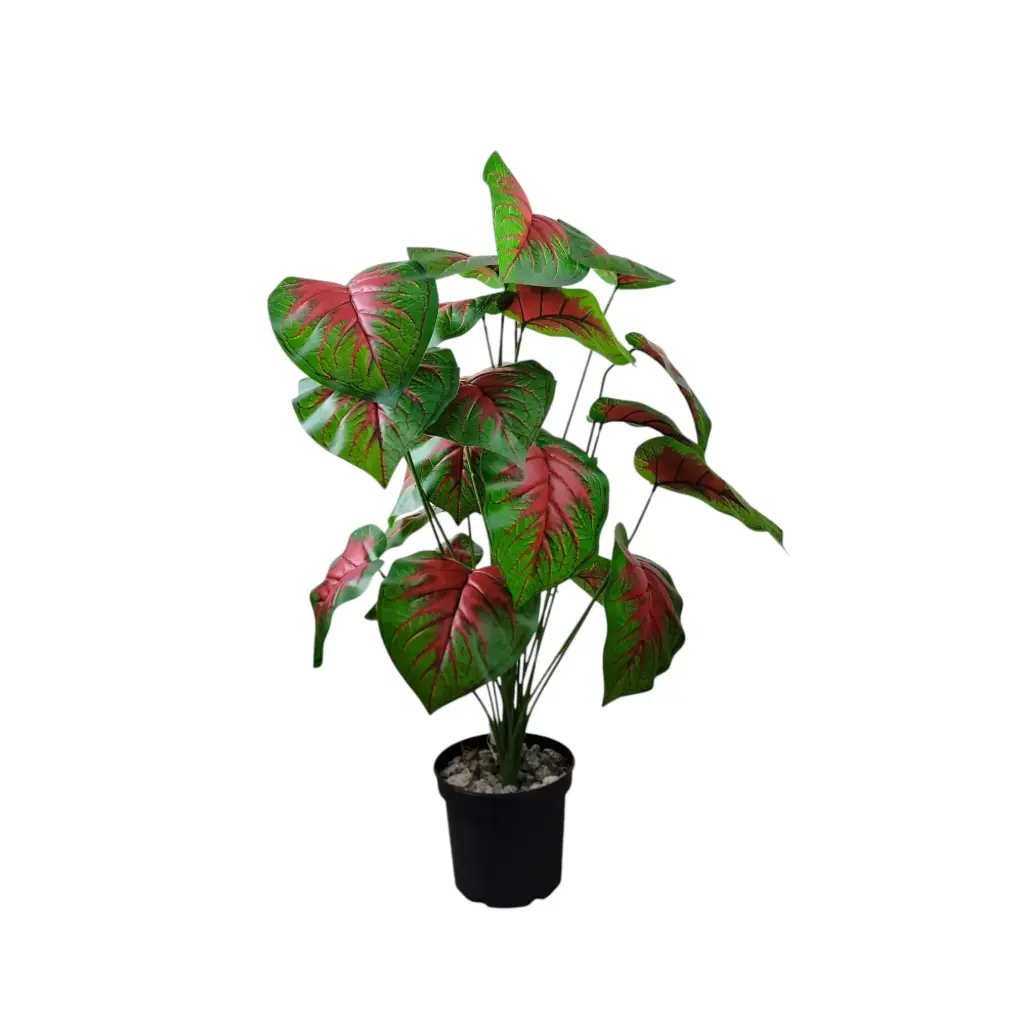 Large House Tropical Plant with Planter