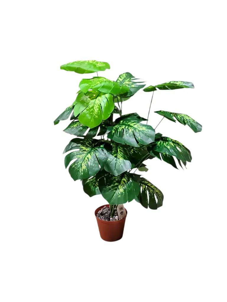 House Tropical Plant with Planter (2.28Feet)