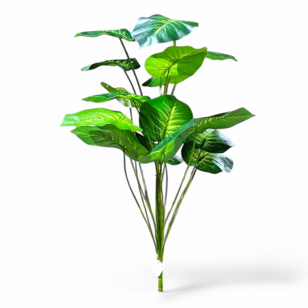 Large House Tropical Plant