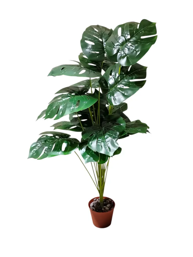 House Tropical Plant with planter (3.42 Feet)