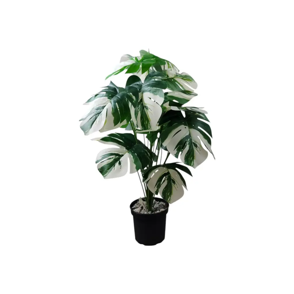 Large House Tropical Plant with Planter