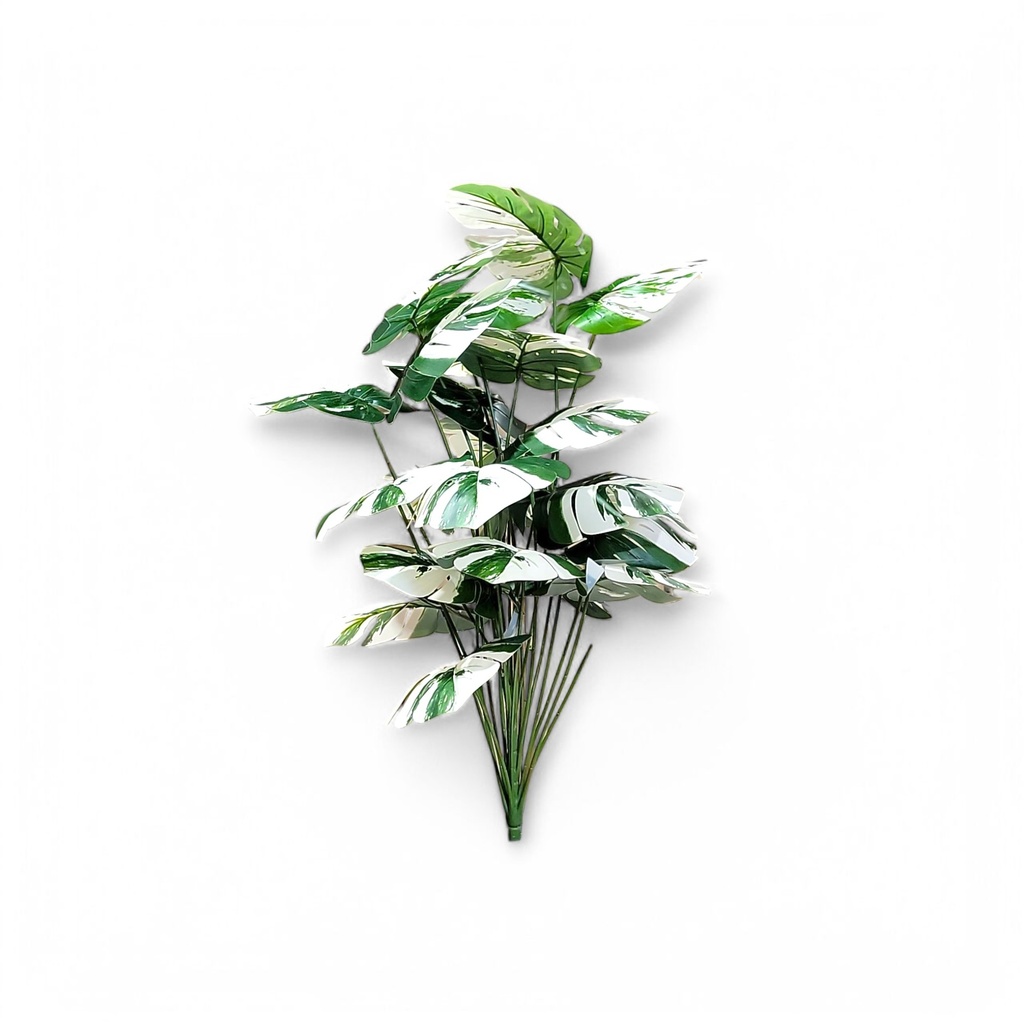 Large House Tropical Plant