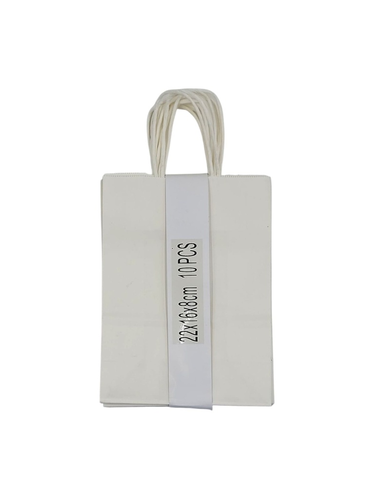 Medium 10 pcs Craft Paper Gift Bag White (22*16*8cm/ 8.66 × 6.30 × 3.15 in)