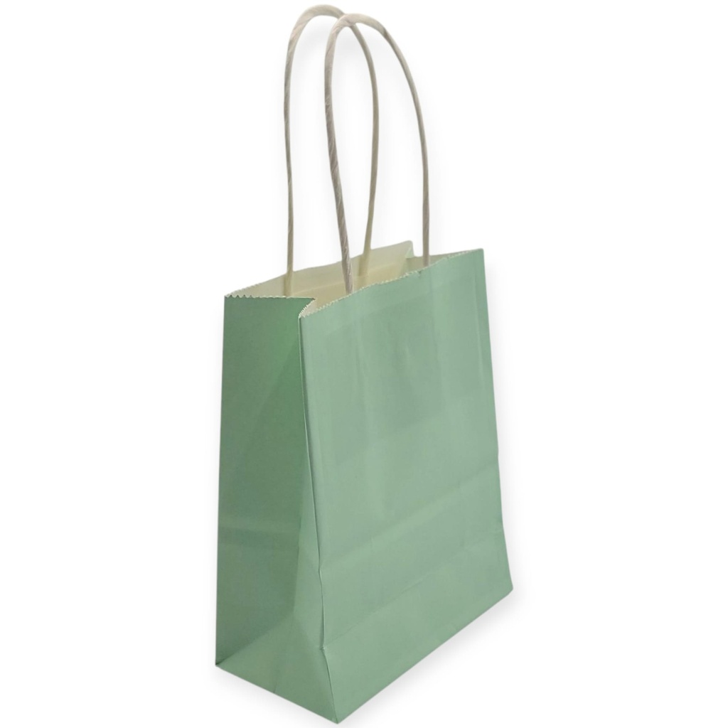 Favour Large  Craft Bag  Mint