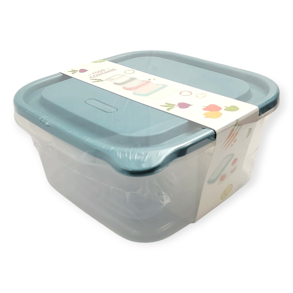 4pcs Square Plastic lunch containers