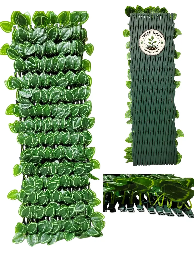 Durable PVC EXPANDABLE TRELLIS 36 in x 72 in Peperomia argyreia (fence)