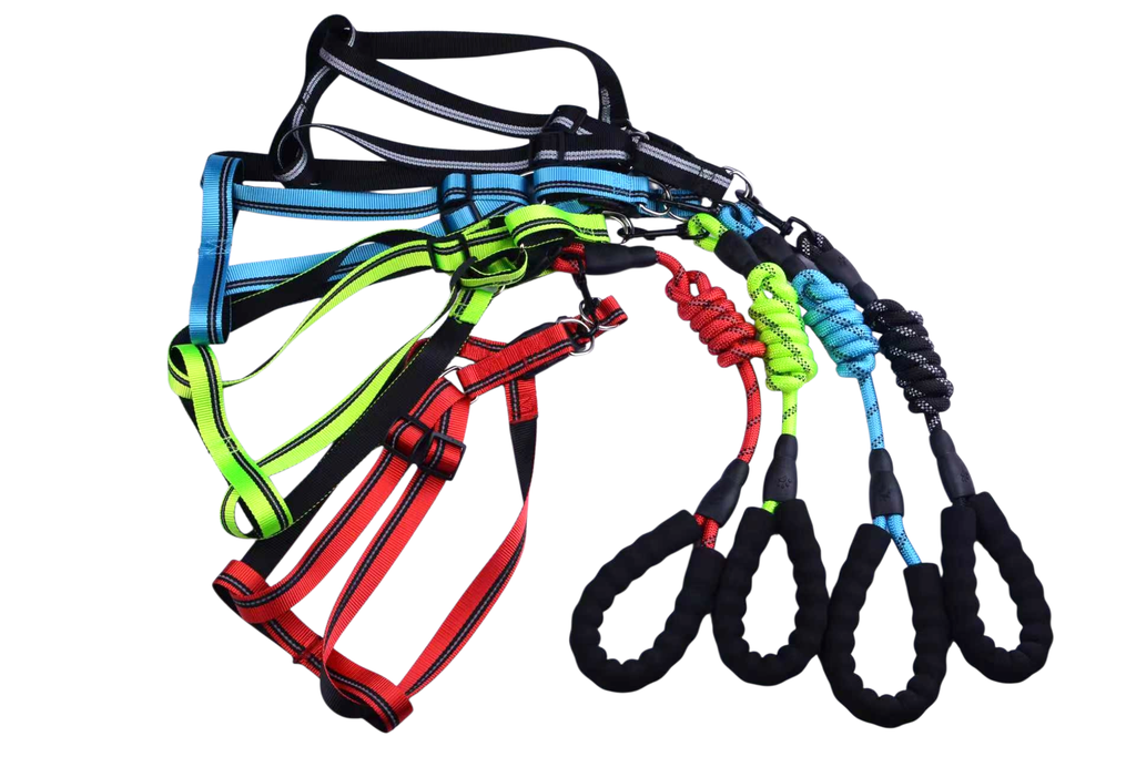 Dog leash 4.27 Feet (Domus)