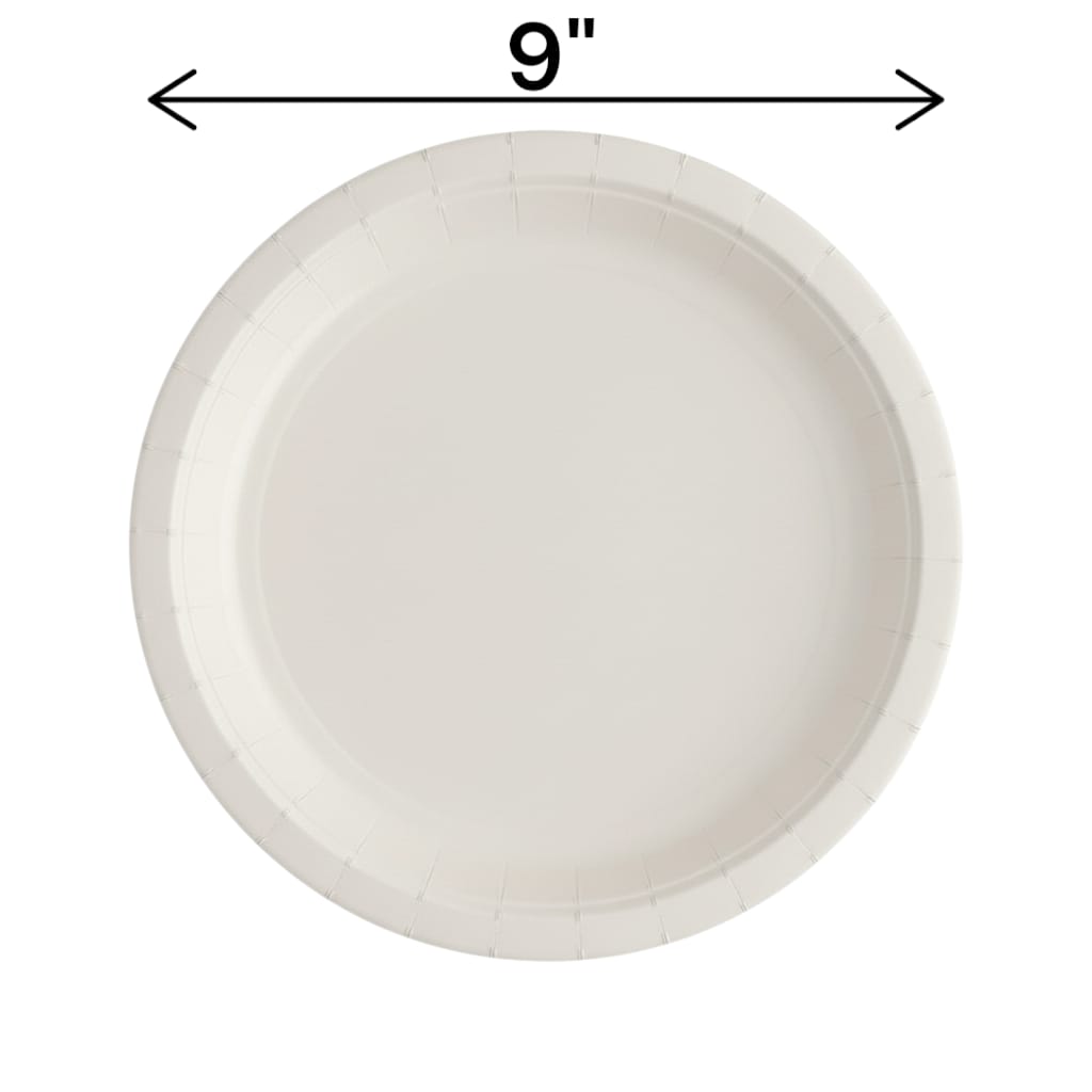 Fun Fiesta 16ct 9" Paper Plates, White
