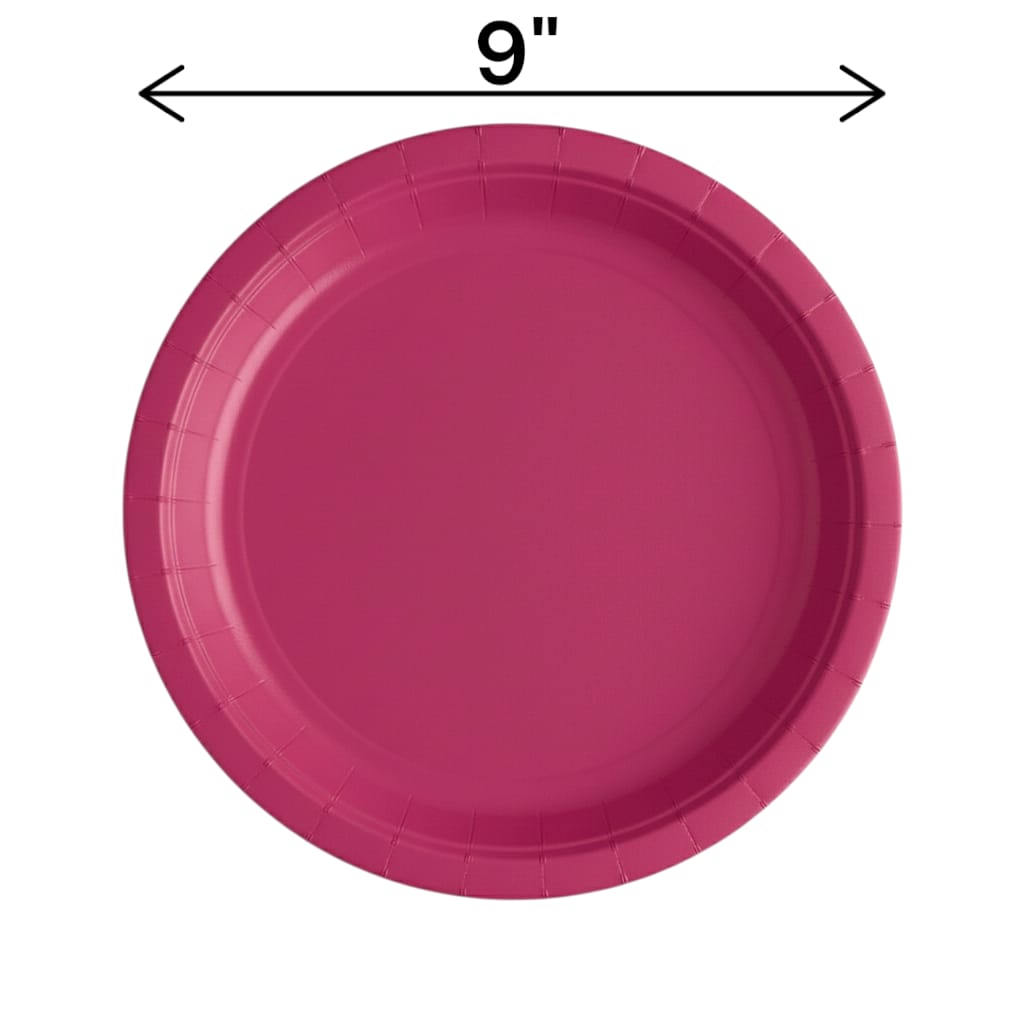 Fun Fiesta 16ct 9" Paper Plates, Fuchsia