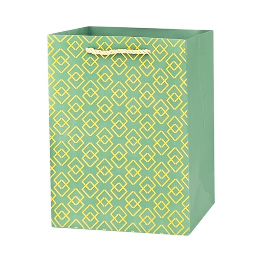  Hot Stamped Large Gift Bag Lime