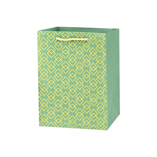  Hot Stamped Medium Gift Bag Lime