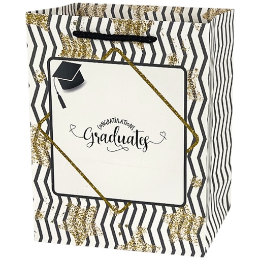  Graduation Jumbo Gift Bag Dazzel