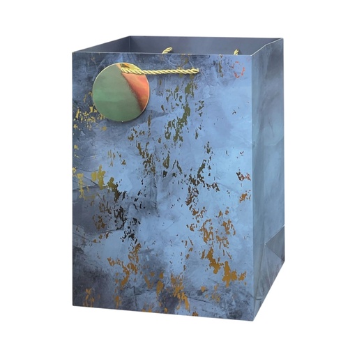 Starry Knight Large Gift Bag Silver