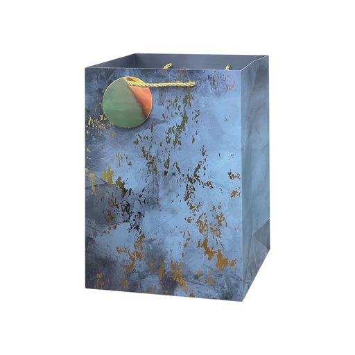 Starry Knight Medium Gift Bag Silver
