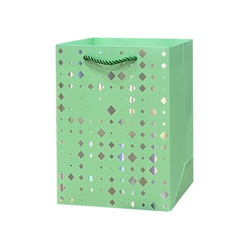 Dimoand Dots Medium Gift Bag Light Green