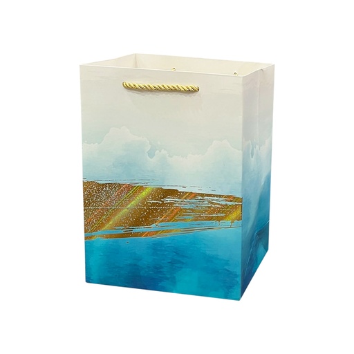 Fuision Medium Gift bag Blue