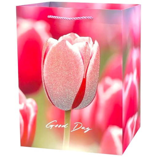 Spring Tulip Jumbo Gift Bag Pink