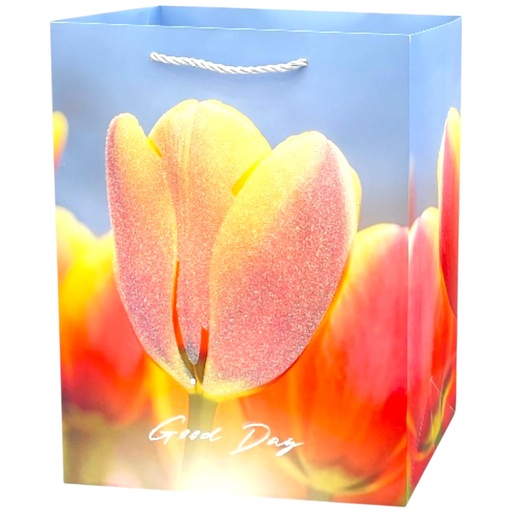 Spring Tulip Jumbo Gift Bag Orange