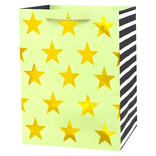 Stars Jumbo Gift Bag Silver - Stripes