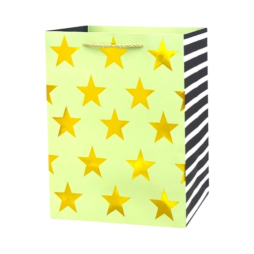 Stars Large Gift Bag Silver - Stripes