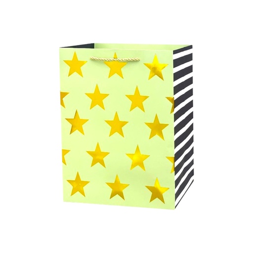 Stars Medium Gift Bag Silver - Stripes