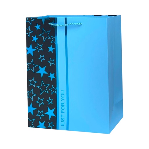Retro Style HBD Large Gift Bag Light Blue