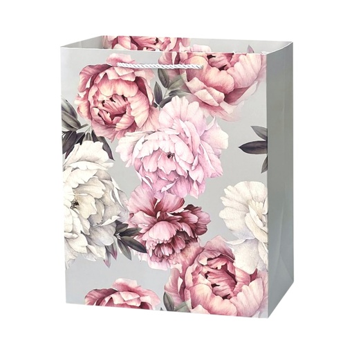 Everyday Large Gift Bag - Silver Sides and Back