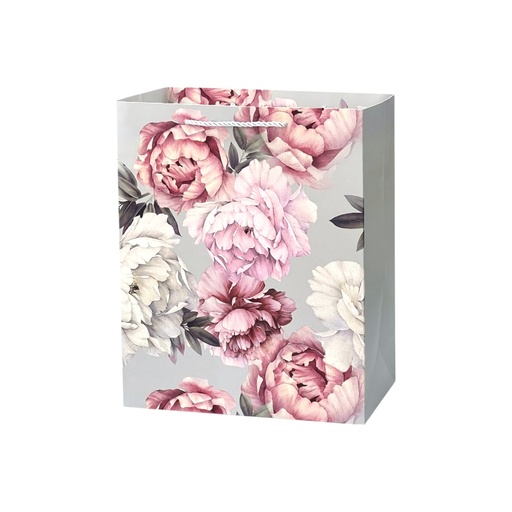 Everyday Medium Gift Bag - Silver Sides and Back