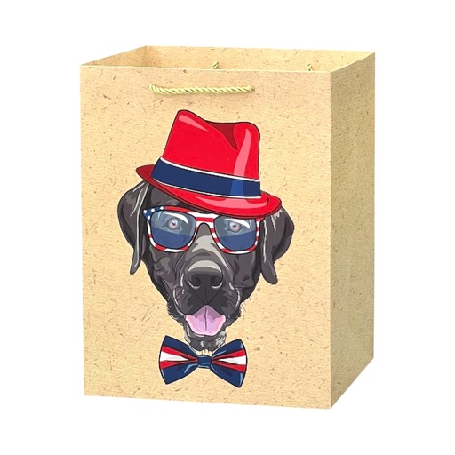 K-9s Large Gift Bag Fancy