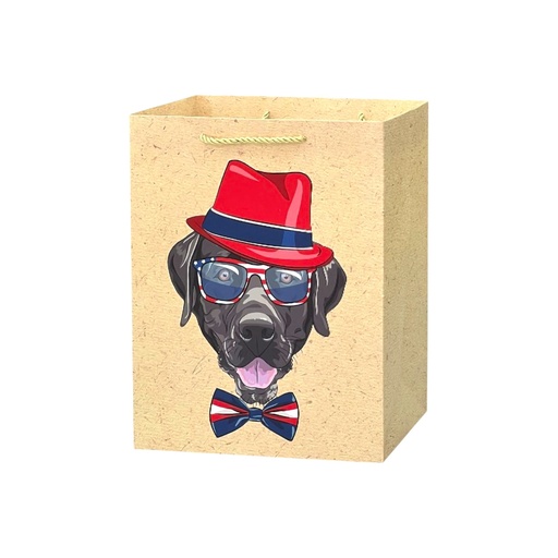 K-9s Medium Gift Bag Fancy