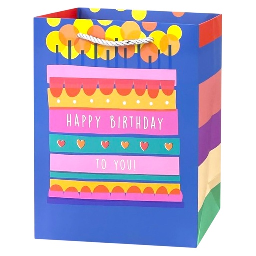 Birthday Cake Jumbo Gift Bag HBD To You