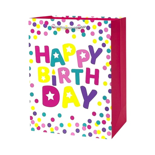 Birthday Fun Large Gift Bag RAINBOW PKD