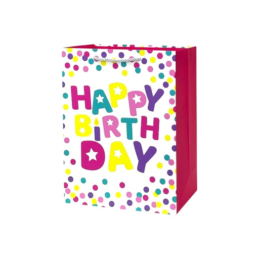 Birthday Fun Medium Gift Bag RAINBOW PKD